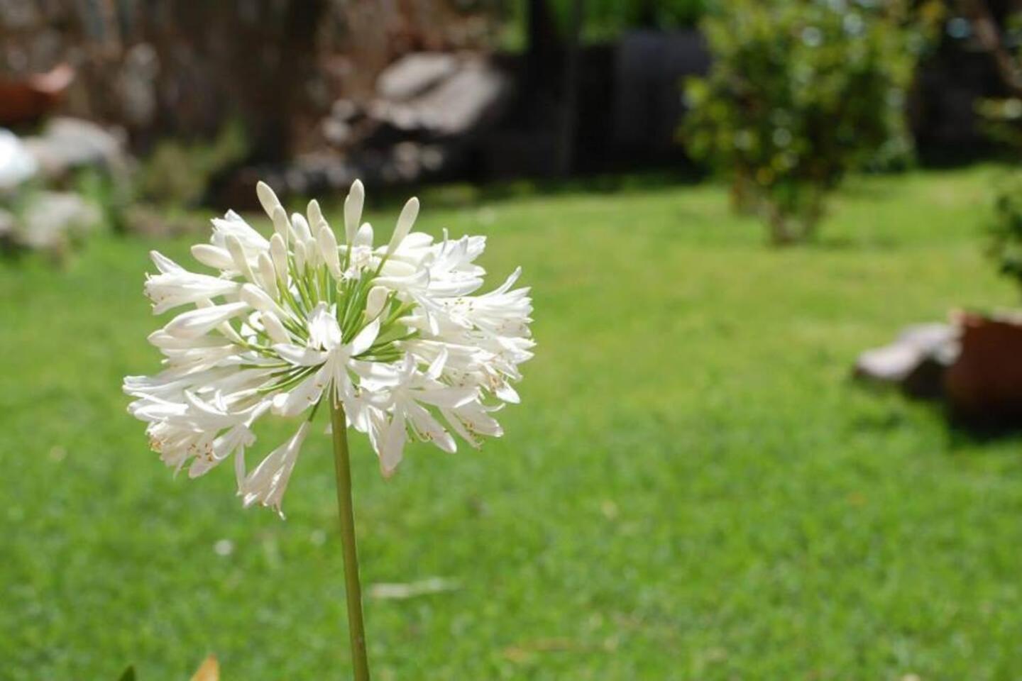 El Ensueno Villa Tilcara Ngoại thất bức ảnh